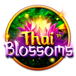 dc club casino login how to bet round robin